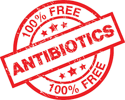 Salutaris Advanced Whey Protein Isolate - Salutaris Health and Fitness