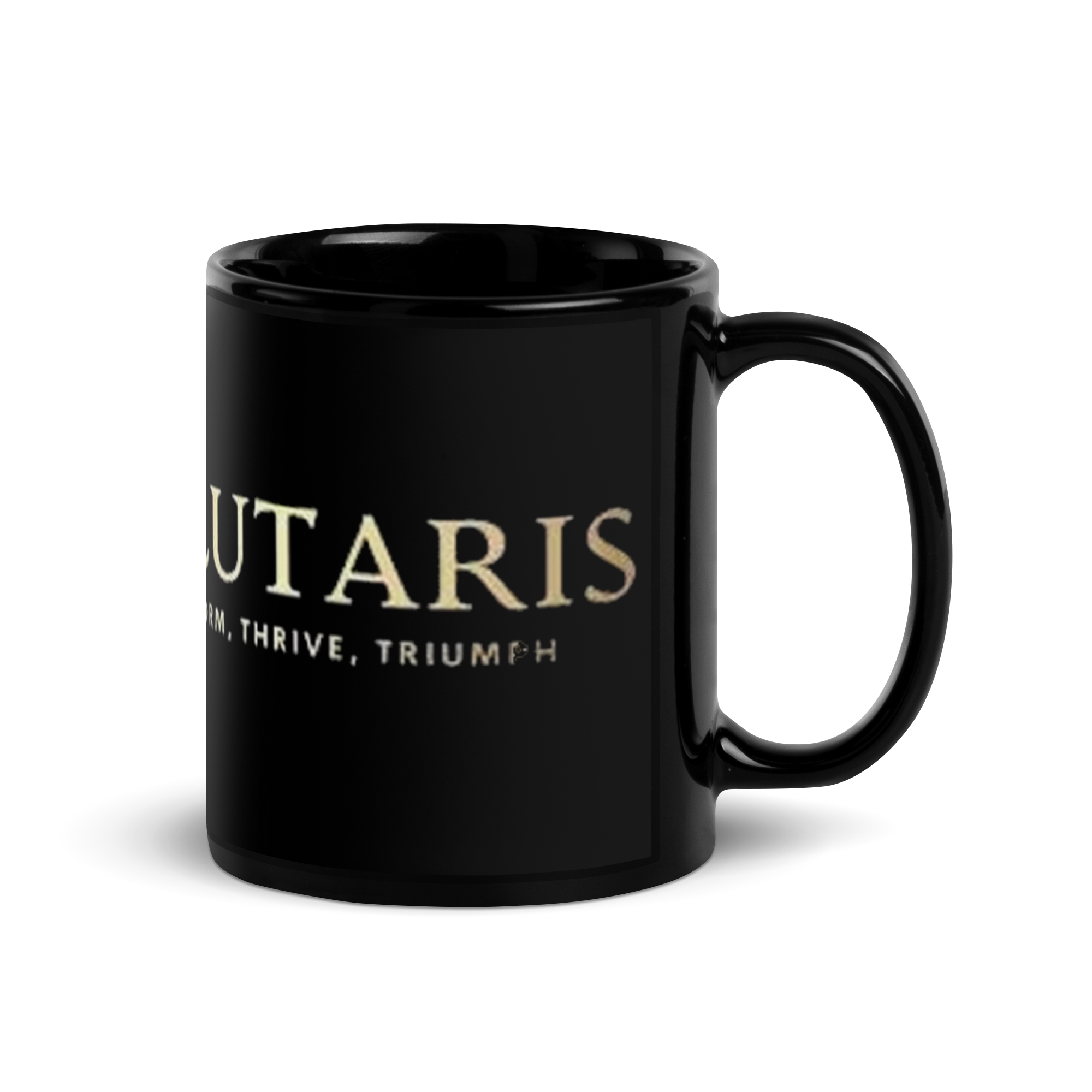 Salutaris Black Glossy Mug